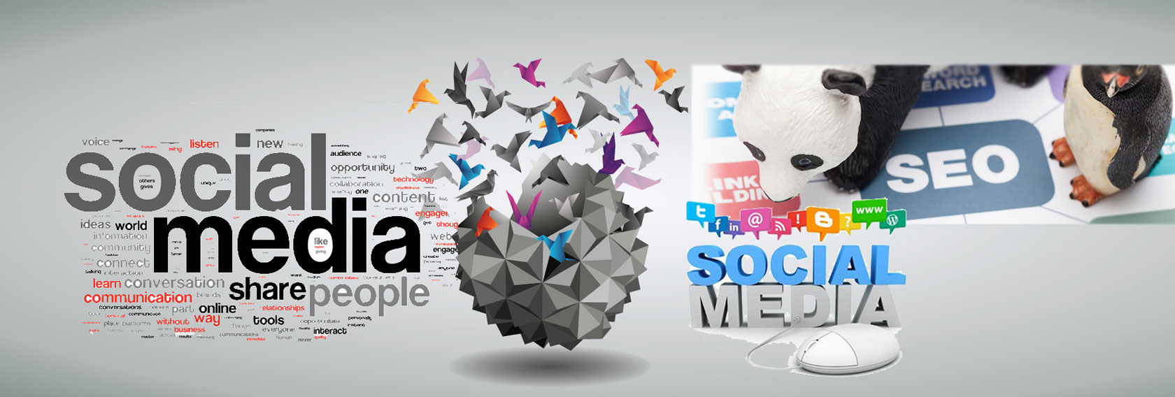 Fastest Growing SEO Company in India